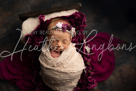 Amelia newborn-12