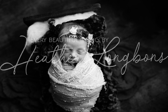 Amelia newborn-12BW