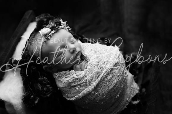 Amelia newborn-13BW