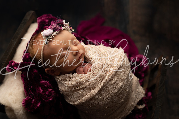 Amelia newborn-13