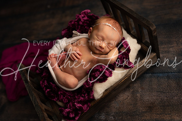 Amelia newborn-14