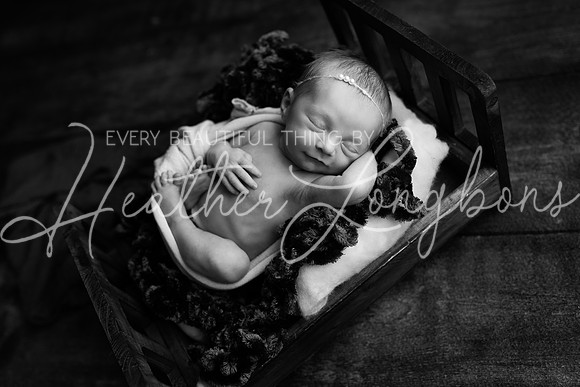 Amelia newborn-14BW