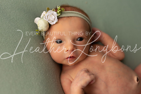 Amelia newborn-16