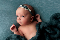Ruby Johnston Newborn-1