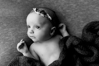 Ruby Johnston Newborn-1BW