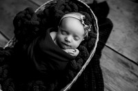 Ruby Johnston Newborn-6BW