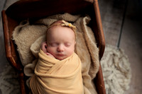 Ruby Johnston Newborn-8