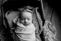 Ruby Johnston Newborn-8BW
