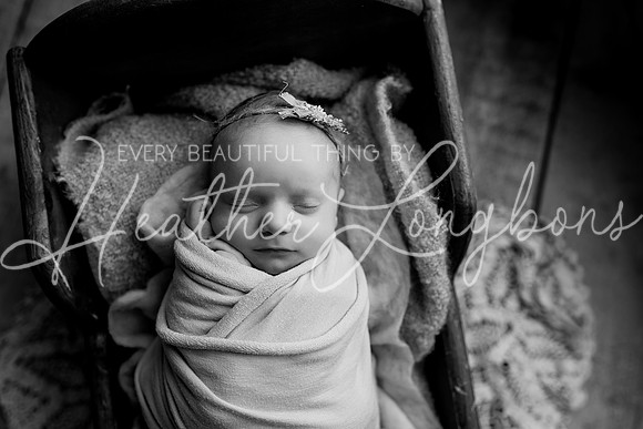 Ruby Johnston Newborn-8BW