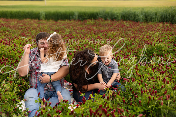 Clover Taylor family-7