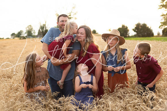 Wheat Field Bonds-72