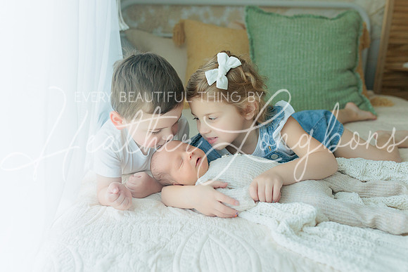 Wells Bruce NB-19