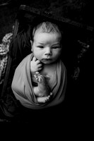 Riggins Kelsey NB-10BW