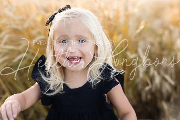 Wheat field Speirs-11