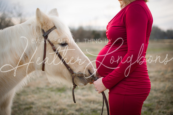 St Ledger maternity-1