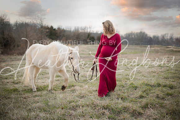 St Ledger maternity-4