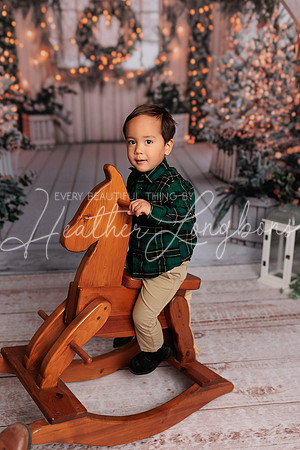 2024 Christmas McDaniel-9