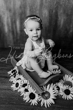 Dusti One Year-21BW