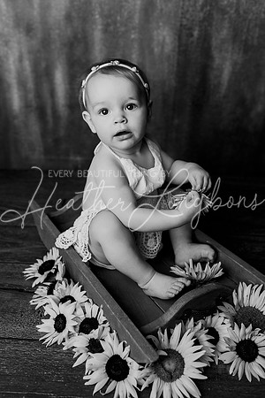 Dusti One Year-22BW