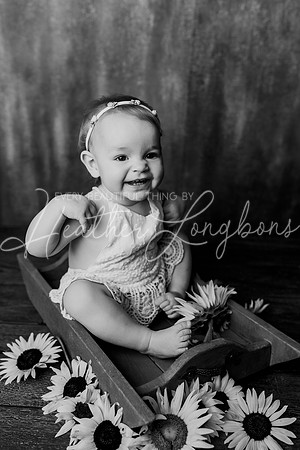 Dusti One Year-24BW