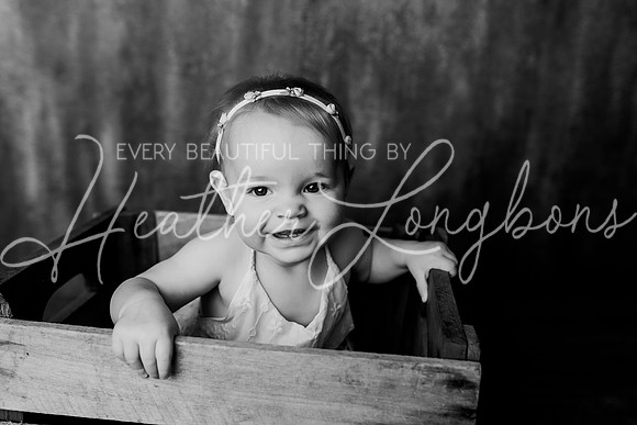 Dusti One Year-40BW