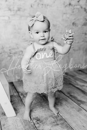 Dusti One Year-71BW