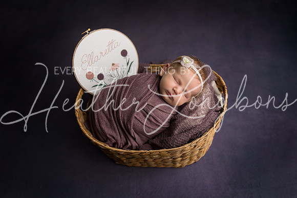 Ellaretta newborn-28