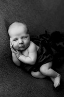 Paul Webb Newborn-3BW