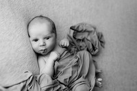Paul Webb Newborn-4BW