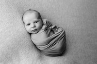 Paul Webb Newborn-5BW