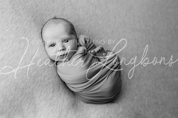 Paul Webb Newborn-5BW