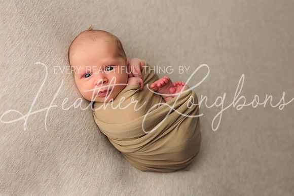 Paul Webb Newborn-5
