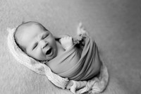 Paul Webb Newborn-6BW