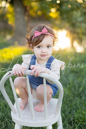 Sunset Wolfe family-12