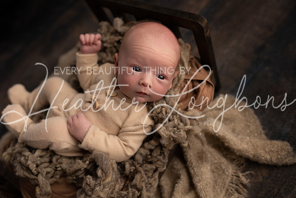 Luka Newborn-13