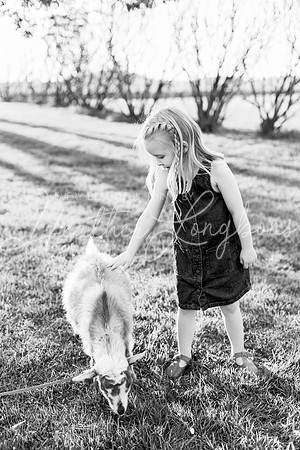 Westbrook family-76BW