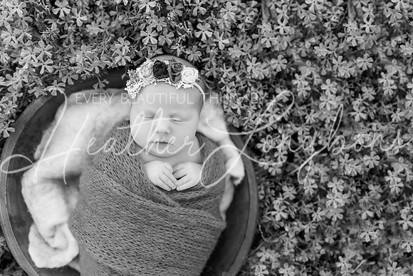 Finley Newborn-12BW