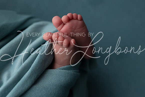 Ivory Newborn-28