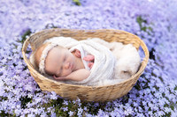Ivory Newborn-9