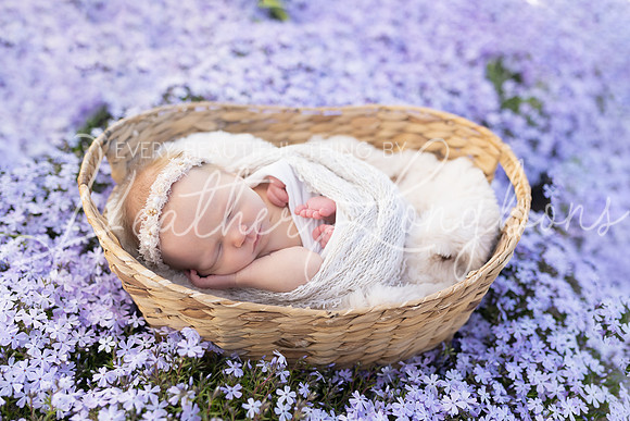 Ivory Newborn-9