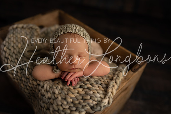 Hudson Newborn-18
