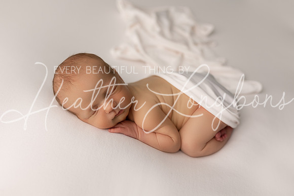Hudson Newborn-17