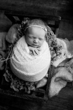 Ivory Newborn-23BW