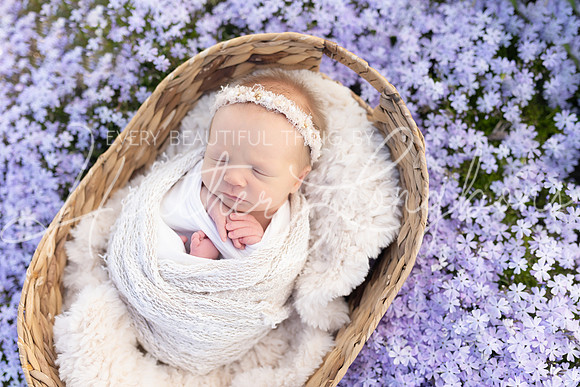 Ivory Newborn-21