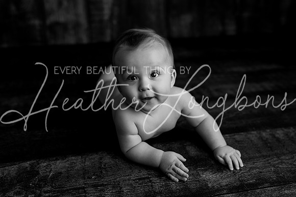 Deacon 6 months-82BW