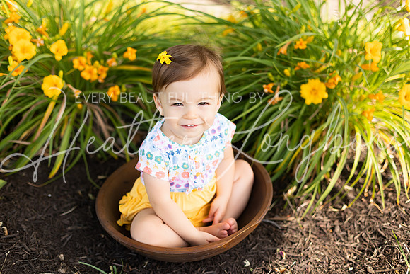 Iris One Year-2