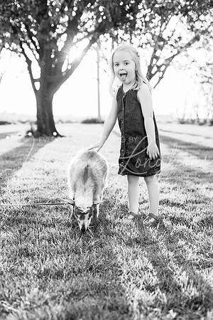 Westbrook family-80BW