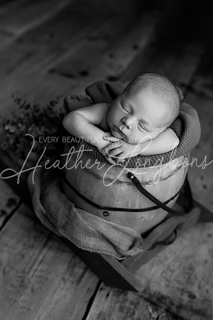 Dane Newborn-28BW