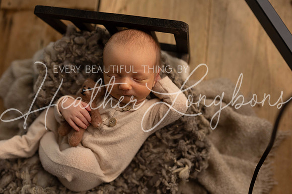 FP7A0244