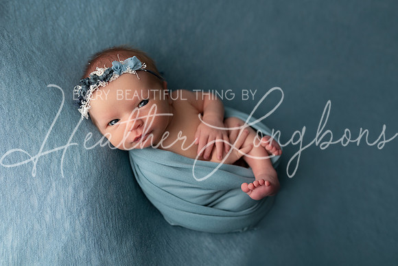 Ivory Newborn-15